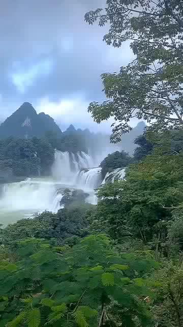 大行评级｜大摩：下调京东目标价至27美元 预计第四季业绩符合预期